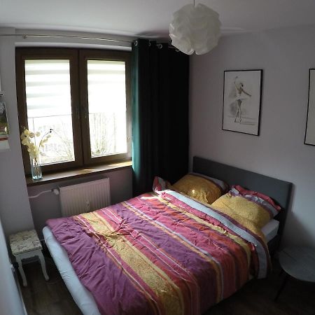 Apartament Bieszczady Apartment Ustrzyki Dolne Exterior photo